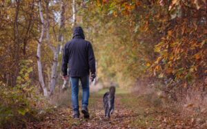 Braaf! Gezamenlijke wandeling 17/02