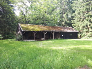 Braaf! Gezamenlijke wandeling Boschoord 6