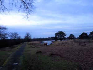 Braaf! Gezellige Gezamenlijke Snert Wandeling Vledderveen 8