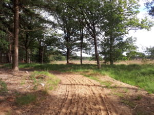 Braaf! Gezellige Gezamenlijke Wandeling vanaf dagcamping Vledderhof 3