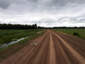 Braaf! Gezellige gezamenlijke wandeling Wapserveense Aa 5